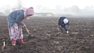 GÜN IŞIĞI İLE BİRLİKTE TOPRAĞIN BEREKETİNE, EMEKÇİNİN ALINTERİNE VE ÜRETİCİNİN SESİNE MİSAFİR OLDUK