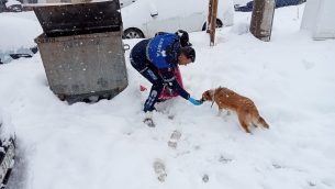 SOKAKTAKİ CAN DOSTLARIMIZI UNUTMADIK