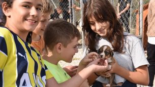 HAYVANLARI KORUMA GÜNÜ