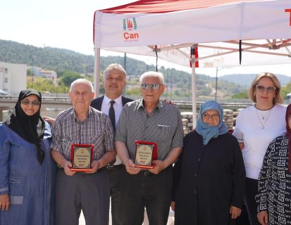 BİR YASTIKTA YARIM ASIR